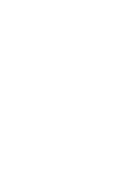 Information Architecture